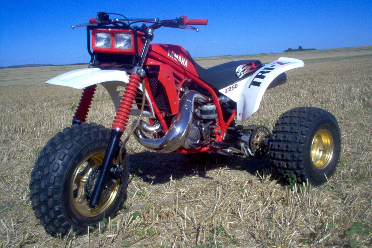 Yamaha YTZ 250 (2009 10 07 bikepics 1798937 full)